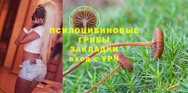 спиды Заволжск